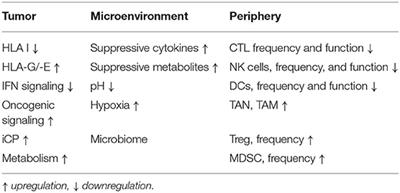 The Role of the Lymphocyte Functional Crosstalk and Regulation in the Context of Checkpoint Inhibitor Treatment—Review